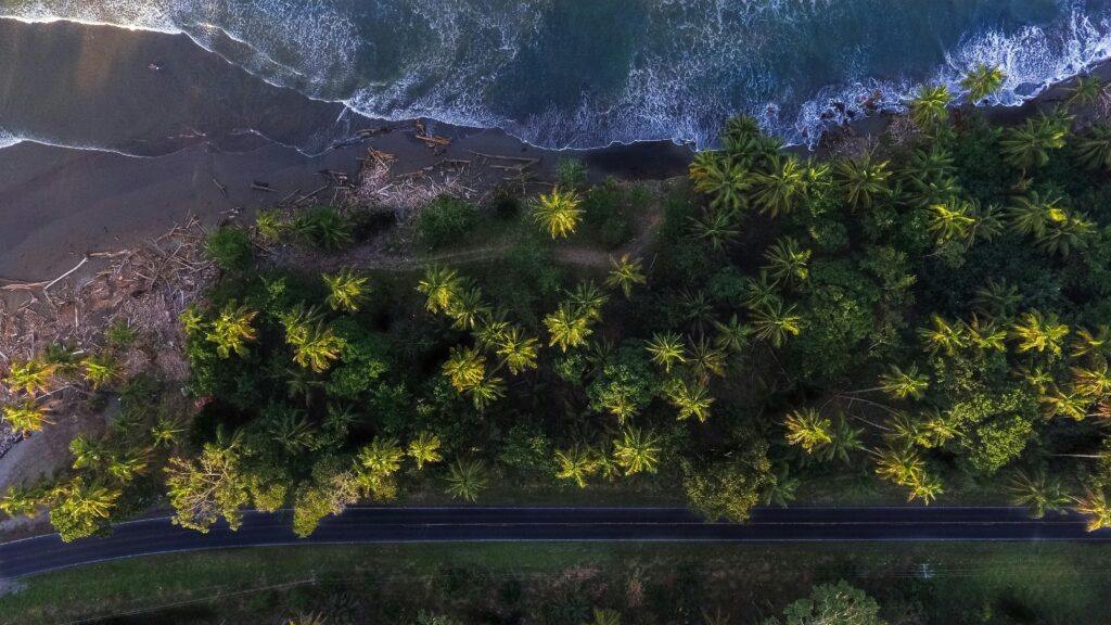 Above view of a tropical coastline with palm trees and waves in Limón, Costa Rica.